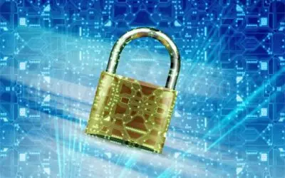 Domain Privacy Protection